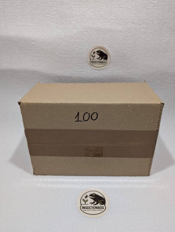Sprinkhanen groot - 100 stuks