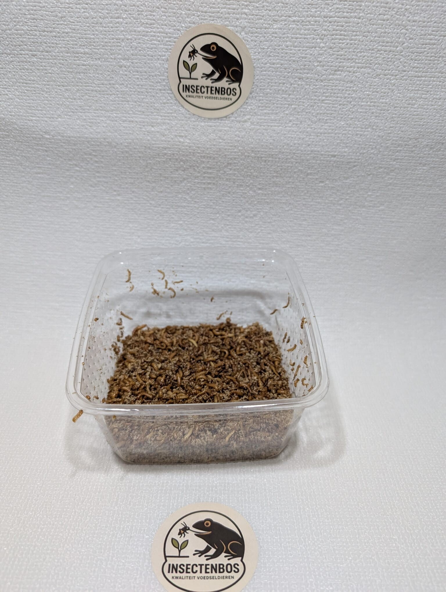 Buffaloworm bakje