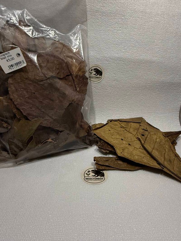 Tropisch blad mix