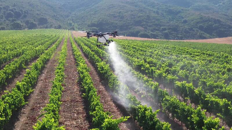 Épandage par drone sur les vignes de San Quilico