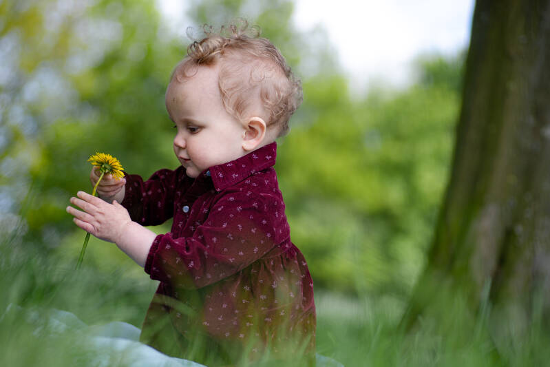 Newbornshoot Apeldoorn
