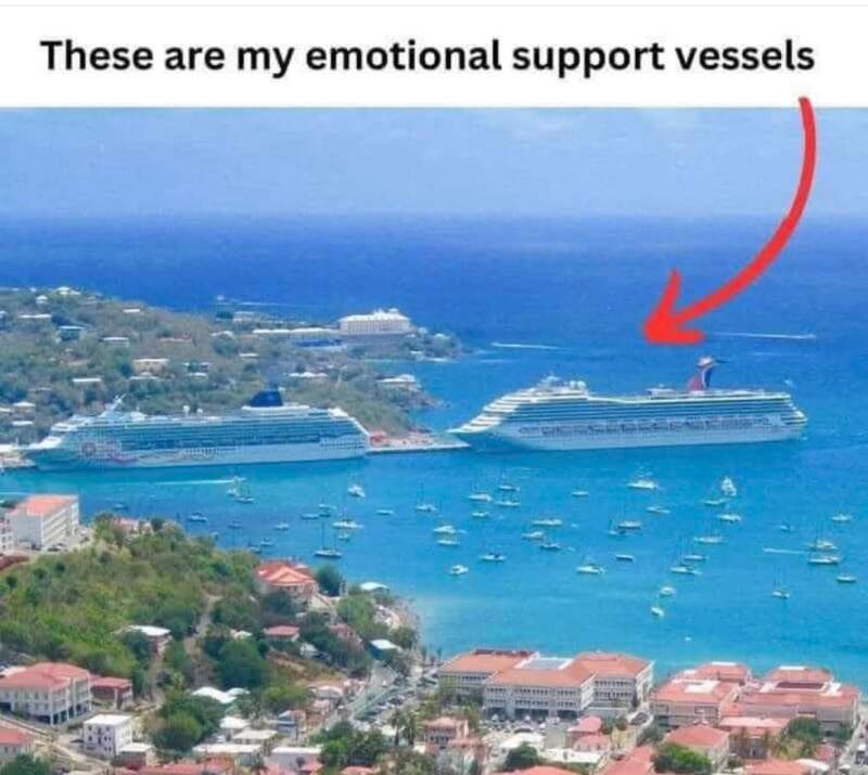Ships in harbor described as "emotional support" vessels