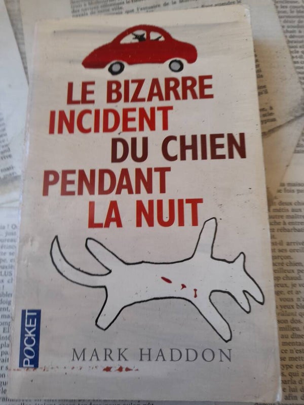 le bizarre incident du chien pendant la nuit / Mark Haddon / pocket /2006
