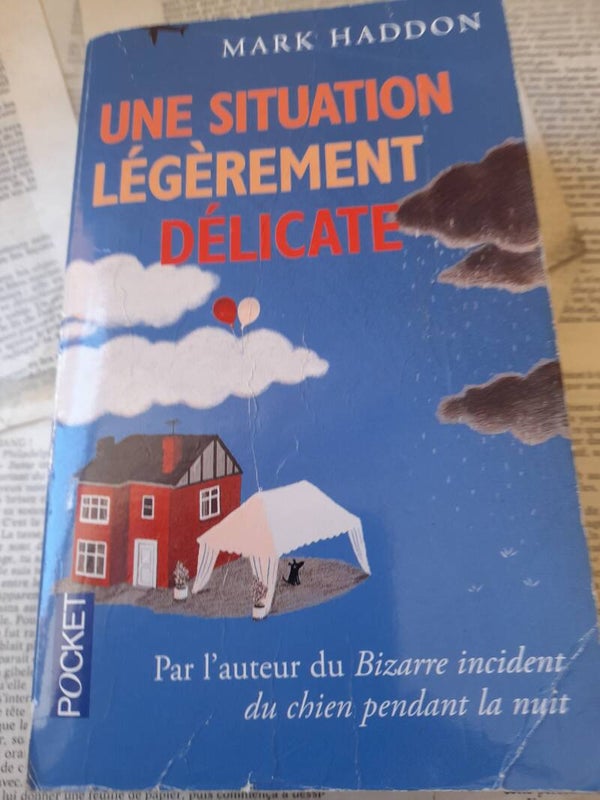 une situation légèrement délicate / Mark Haddon / pocket /2008
