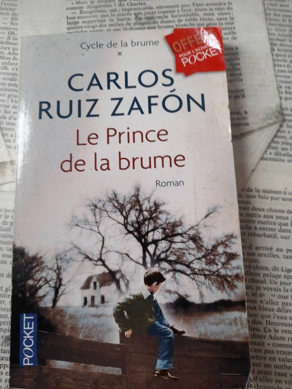 Cycle du vent : T1 Le prince de la brume / Carlos Ruiz Zafon /Pocket /2012 Espagne espagnol