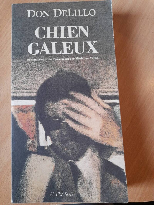 Chien Galeux - Don DeLillo -Actes sud -1991