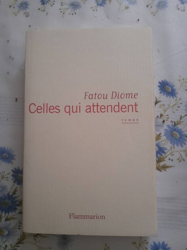 Celles qui attendent de Fatou - Edition flammarion -