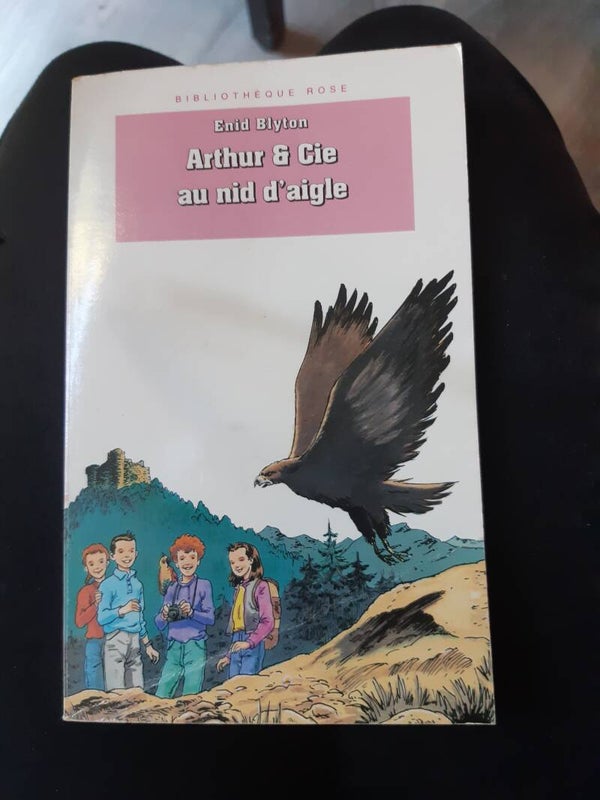 Arthur et Cie au nid d'aigle - Enid Blyton - Bibliothèque rose 1992