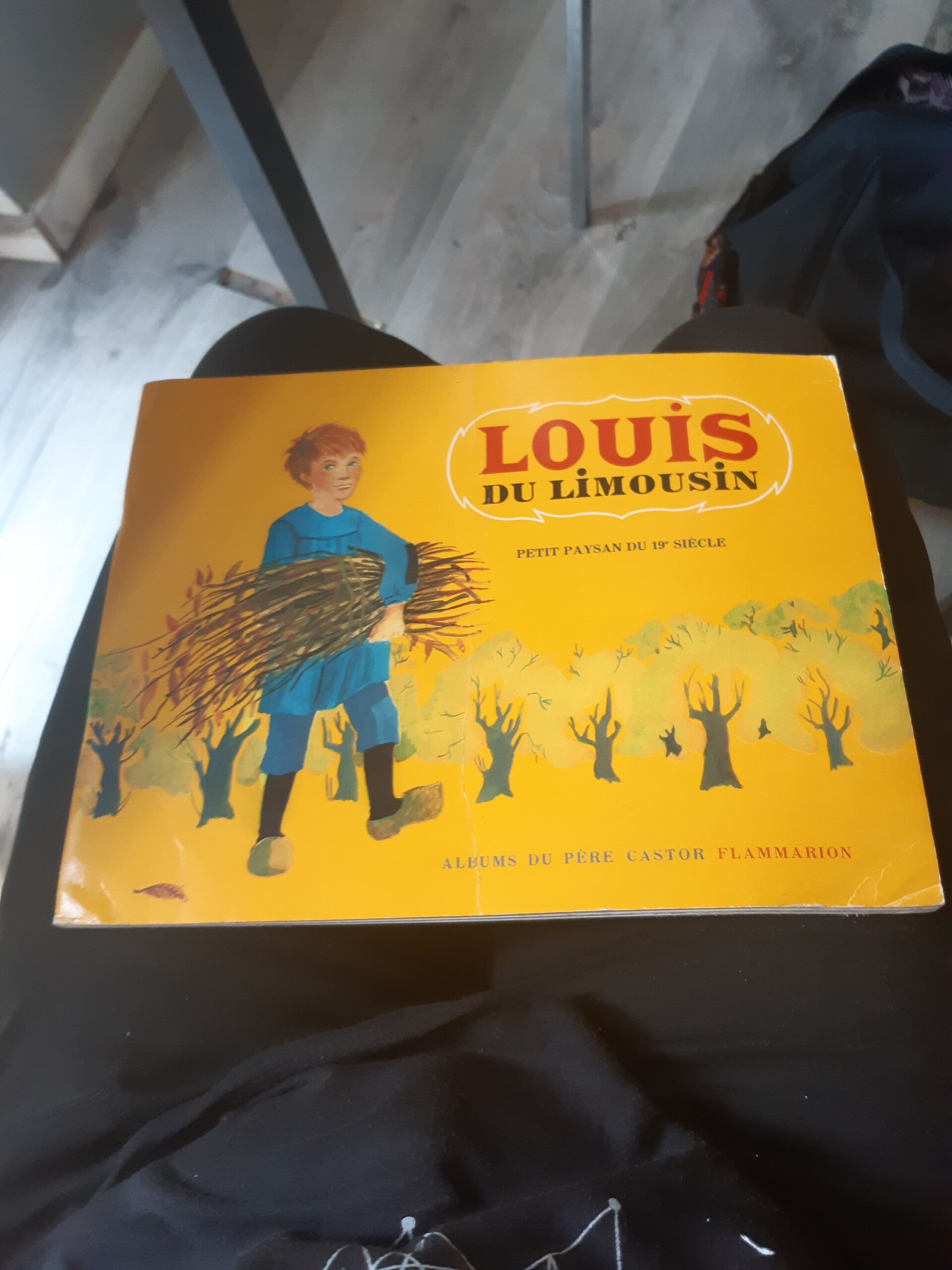 Louis du limousin : petit paysan du 19eme siècle - Andrée Paul Fournier - Flammarion 1972