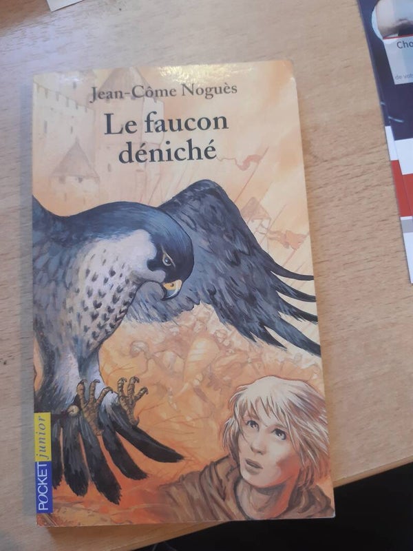 Le faucon déniché - Jean-Côme Noguès - Pocket Jeunesse 2008 A partie de 11 ans