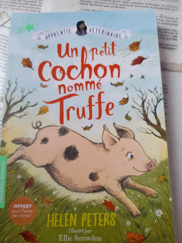 Un petit cochon nommé Truffe - Helen Peters - Gillimard Jeunsse 2019