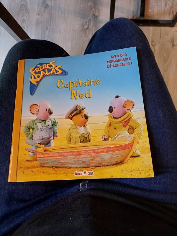 Les frères Koalas : Capitaine Ned - Andrea Posner- Sanchez - Albin Michel 2006