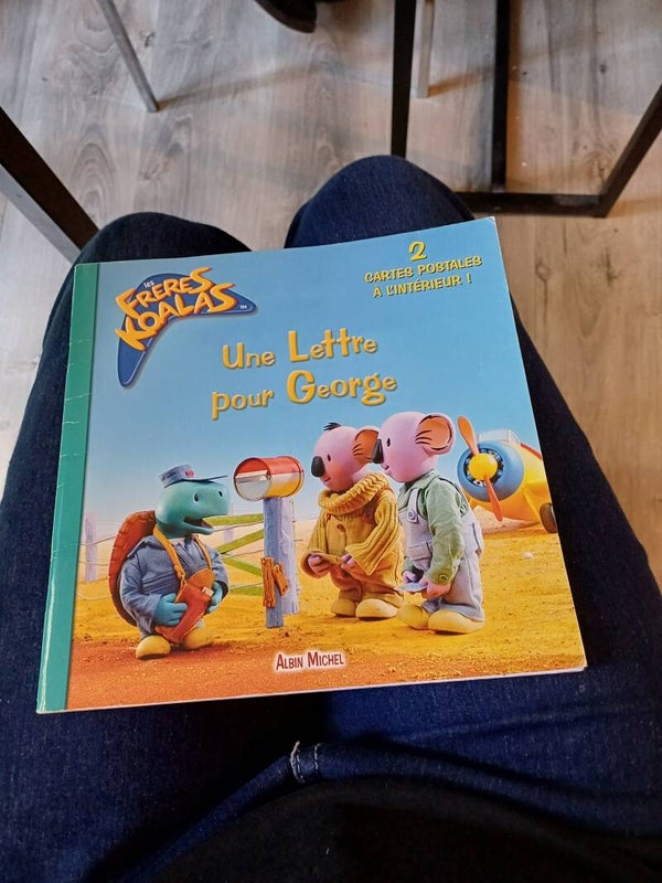 Les frères Koalas : Une Lettre pour George - Andrea Posner- Sanchez - Albin Michel 2006