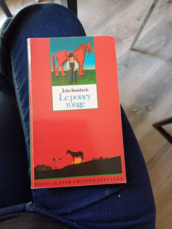 Le poney rouge - John Steinbeck - Folio junior Editions Spéciale