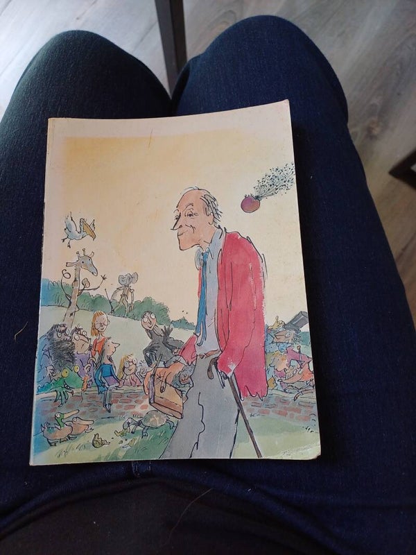 Le livre de l'année - Roal Dahl - lecteur Junior 1992