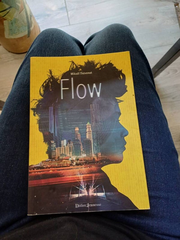 Flow - Mikaël Thévenot - Didier Jeunesse 2016