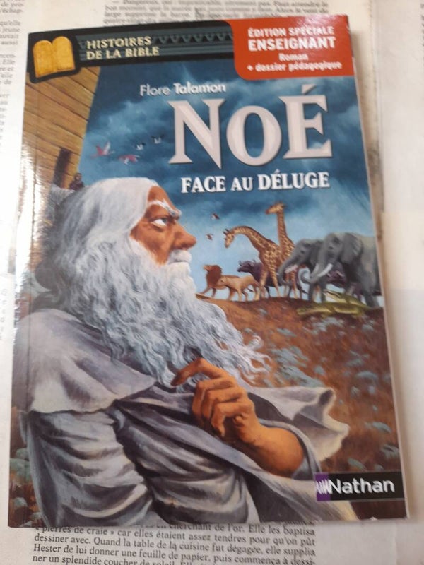 Noé face au déluge Histoire de la Bible - flore Talamon-Nathan 2012