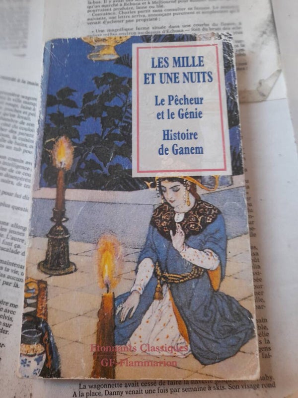 Les mille et une nuits : Le pêcheur et le génie et Histoire de Ganem - Etonnants Classiques -GF Flammarion 1995