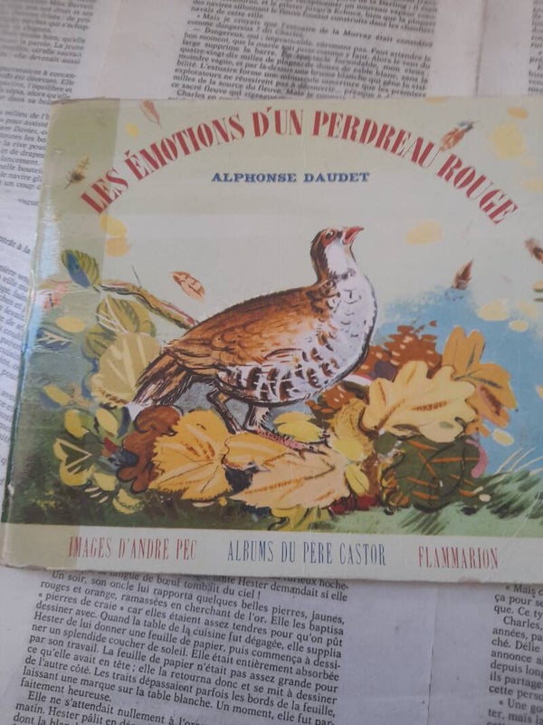 Les émotions d'un Perdreau rouge - Alphonse Daudet Les albums du pére casstor flammarion 1954