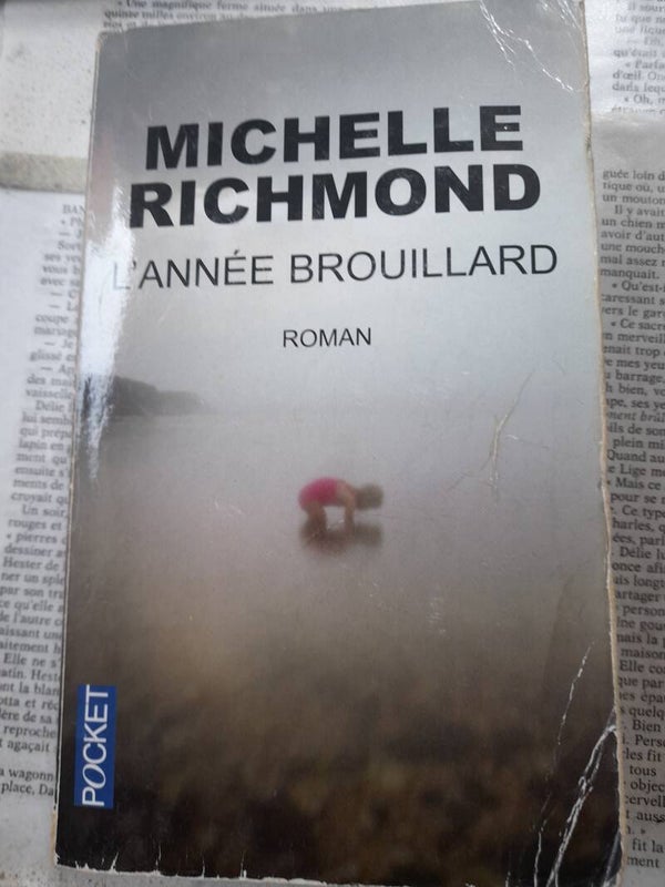 L'année brouillard - Michelle Richmond- Pocket - 2010