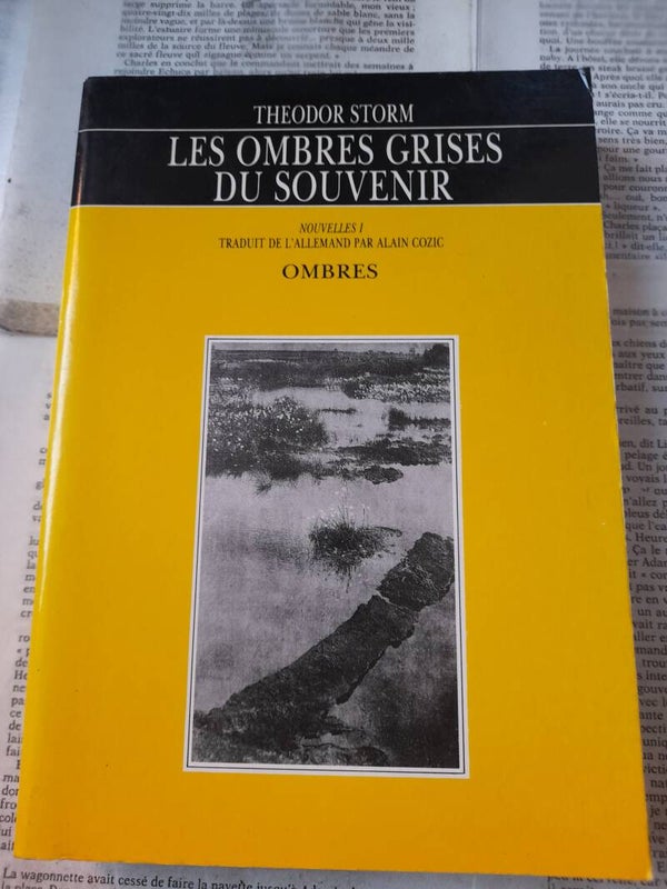 Les ombres grise du souvenir (nouvelles)- Theodor Storm - Ombres - 1990 Allemagne
