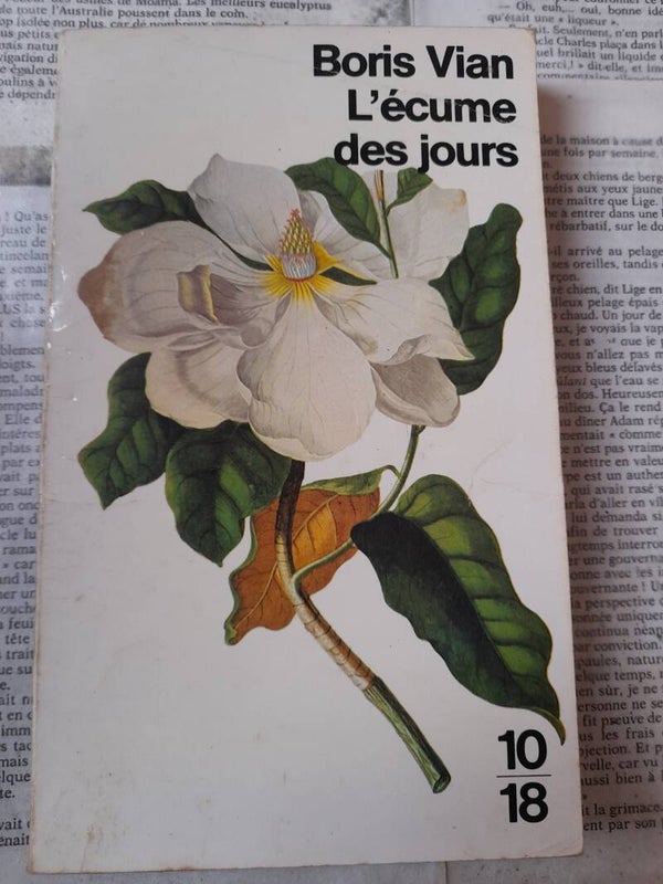 L'écume des jours - Boris Vian - 10 18 - 1985