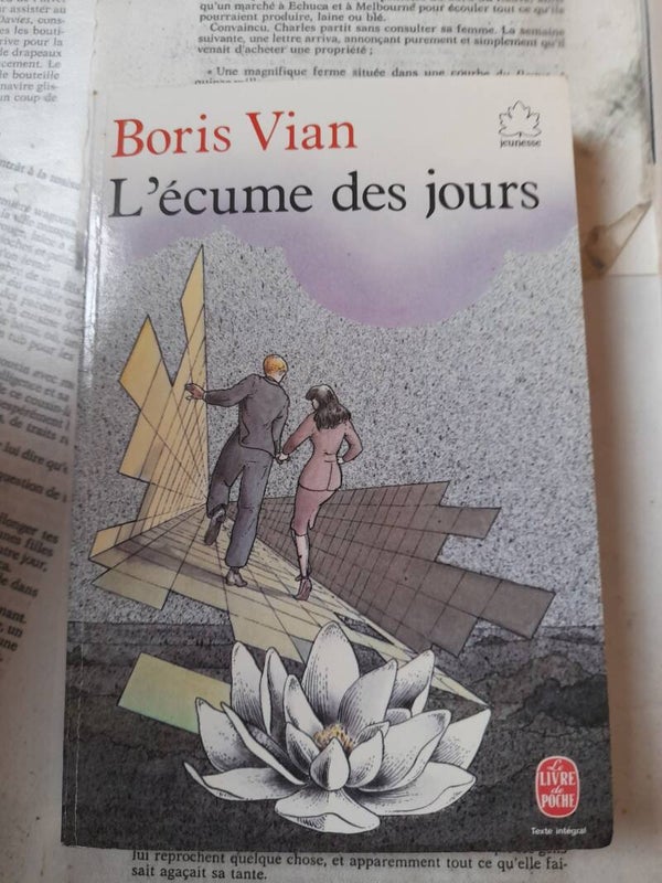 L'écume des jours - Boris Vian - le livre de poche- 1988