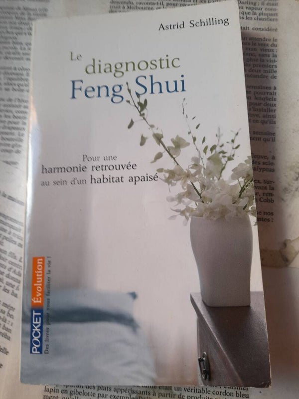 Le diagnostic Feng Shui - Astrid Schilling - Pocket Evolution - 2007