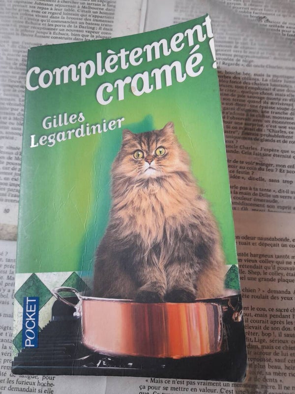 complétement cramé - Gilles Legardinier - Pocket - 2016