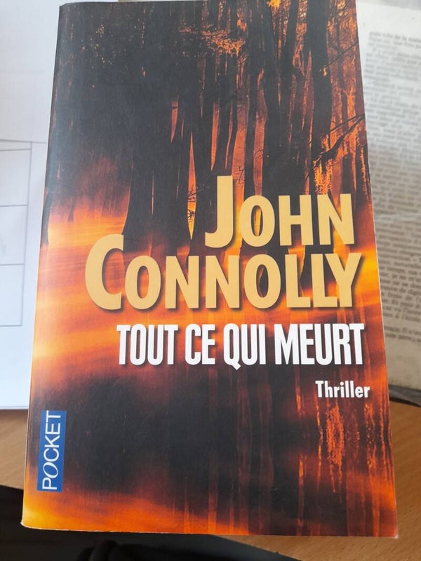 Tout ce qui meurt - John Connolly - Pocket - 2013