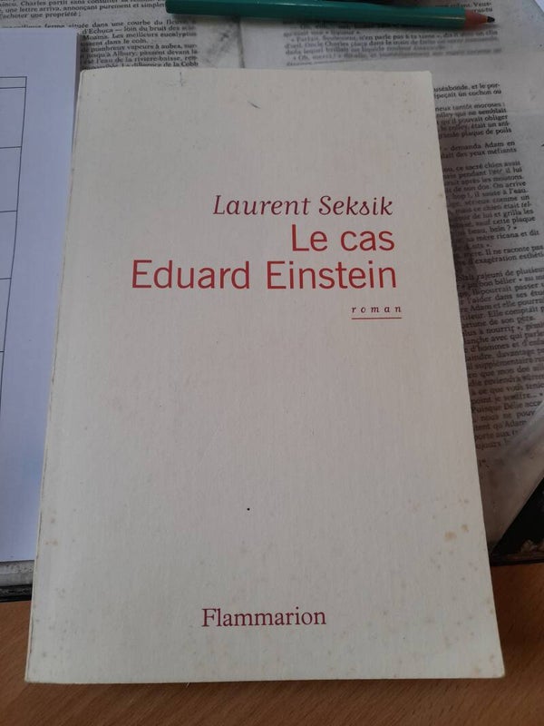 Le cas Eduard Einstein - Laurent Seksik - Flammarion