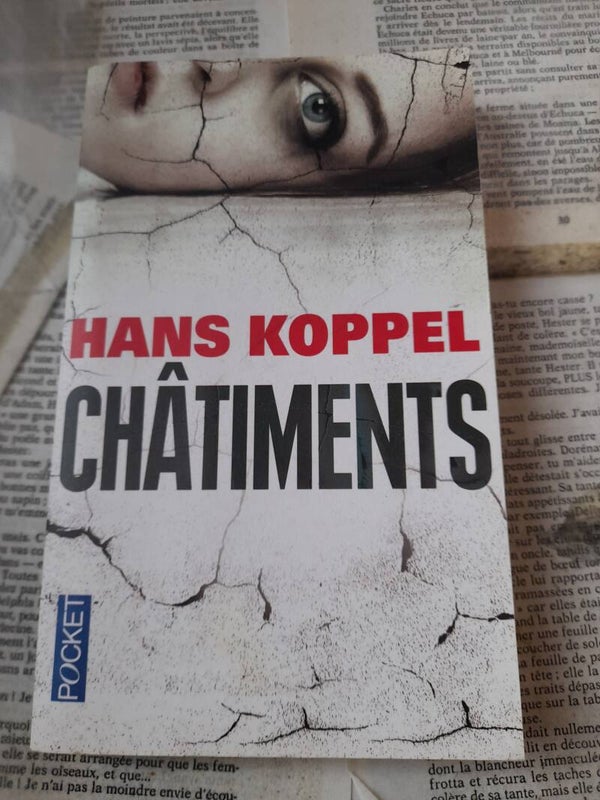 Châtiments - Hans Koppel - Pocket -  2016  Suede