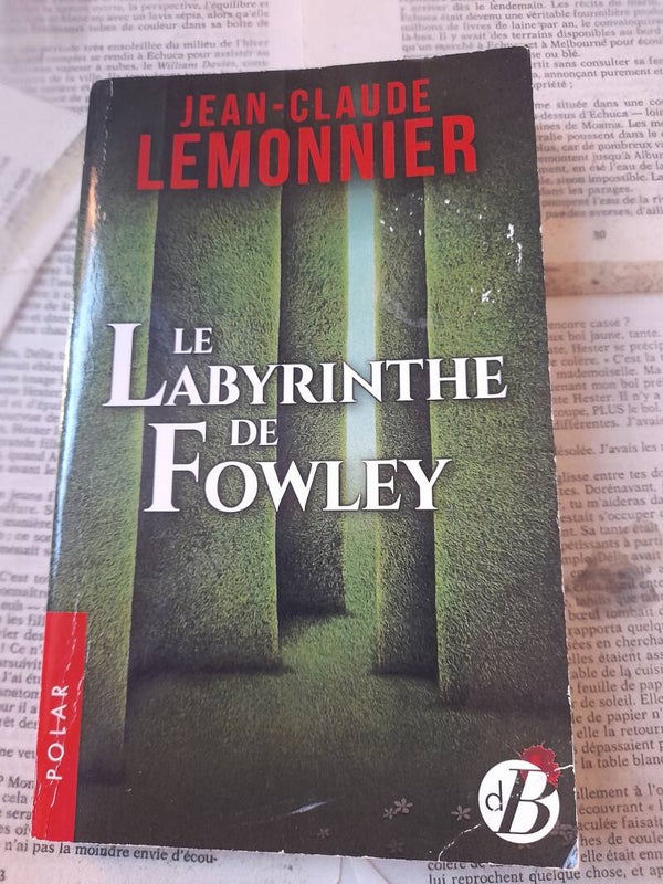 Le labyrinthe de Fowley - Jean-claude Lemonnier - d B polar - 2019
