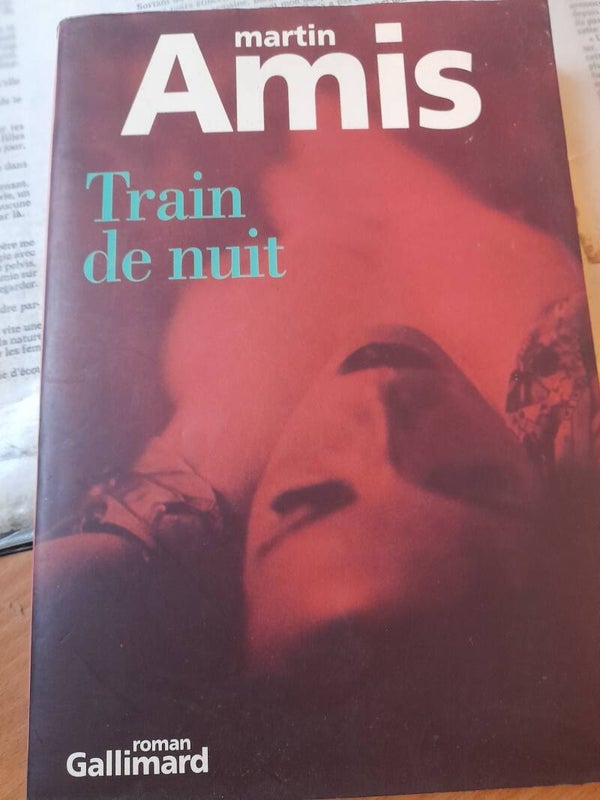 Train de nuit - Martin Amis - Gallimard - 1999