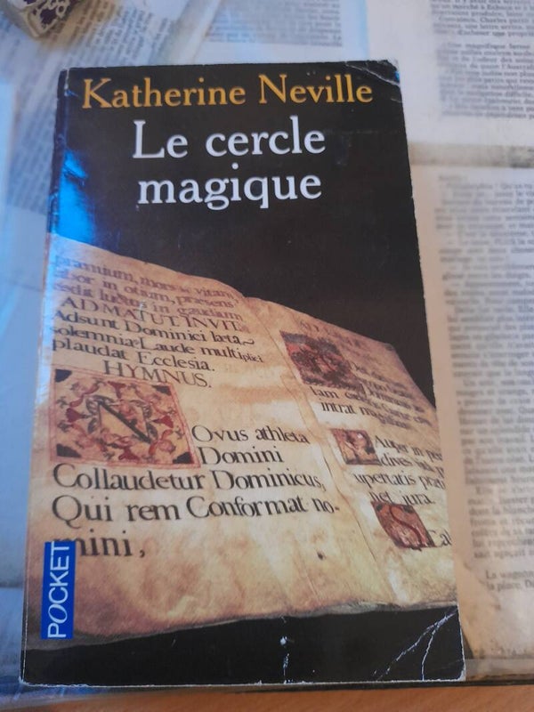 Un risque calculé - Katherine Neville - Pocket - 2006