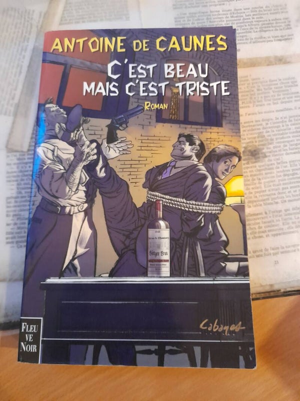 C'est beau mais c'est triste - Antoine de Caunes -Fleuve noir - 1998