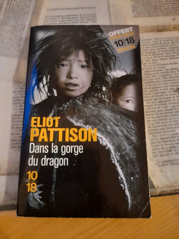 Dans la gorge du dragon- Eliot Pattison - 10/18 - 2004