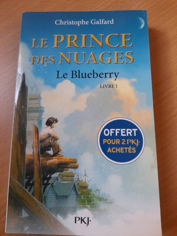 Le blueberry Livre 1 : Le prince des nuages - Christophe Galfard - PKJ - 2021