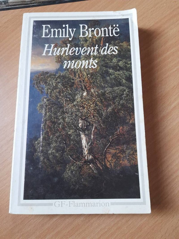 Hurlevent  des monts - Emily Brontë - GF flammarion  - 1984