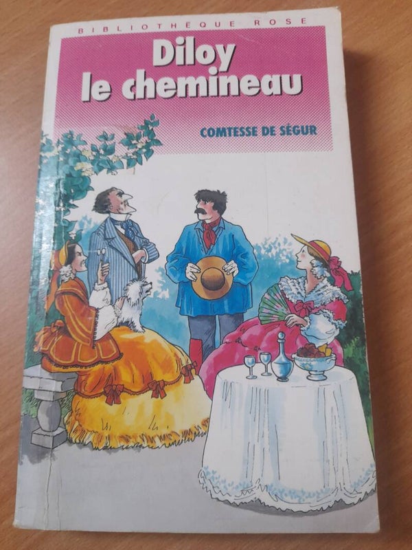 Diloy le chemineau  - Comtesse de Segur - Bibliothèque rose illustrée - 1990