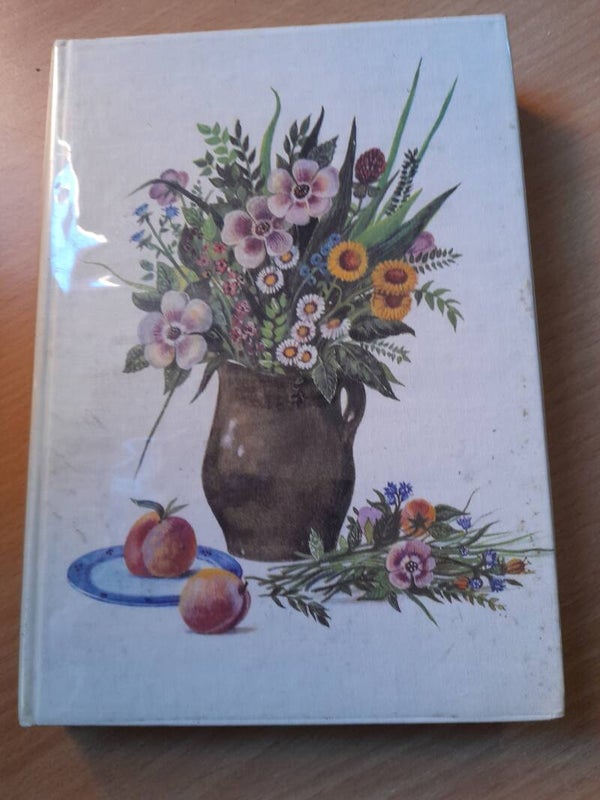 La Loire, Agnès et les garçons - Maurice Genevoix - Cercle du bibliophile  - 1966