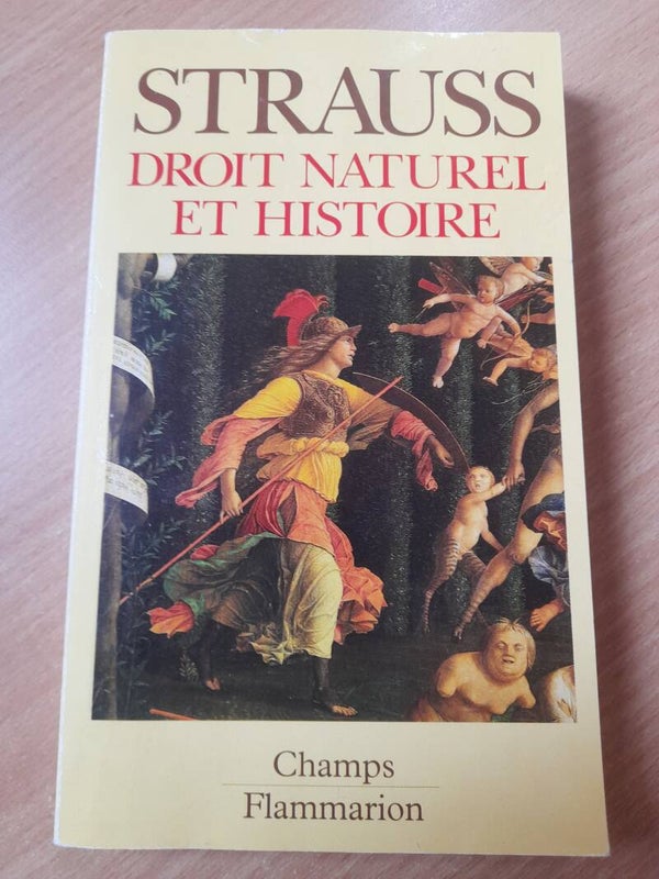 Droit naturel et histoire - Léo Strauss - Flammarion champs - 1995