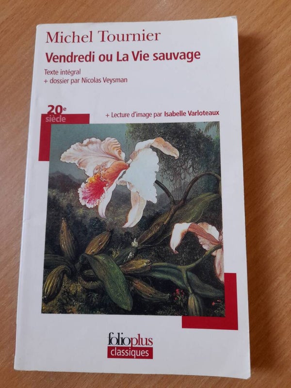 Vendredi ou la vie sauvage - Michel Tournier -  folio plus classique - 2008