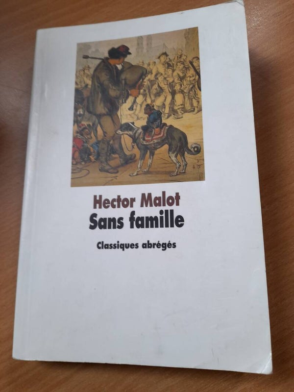 Sans Famille- Hector Malot - l'école des loisirs classique abrégé - 2007