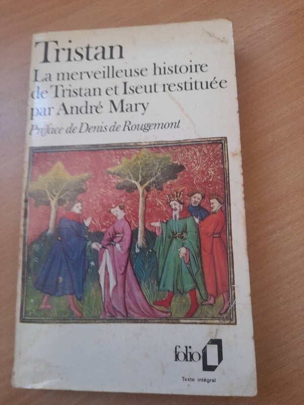 Tristan la merveilleuse histoire de Tristan et Iseult - André Mary - Folio - 1984