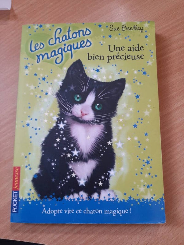 Les chatons magiques T2 : une aide bien précieuse - Sue Bentley - Pocket jeunesse -2008