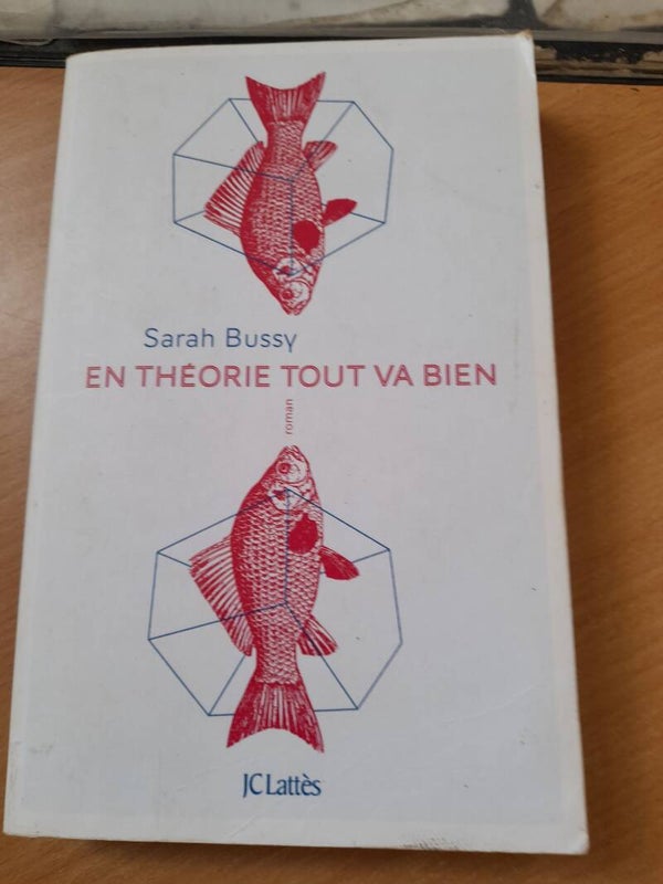 En théorie tout va bien - Sarah Bussy - JC Lattès - 2019