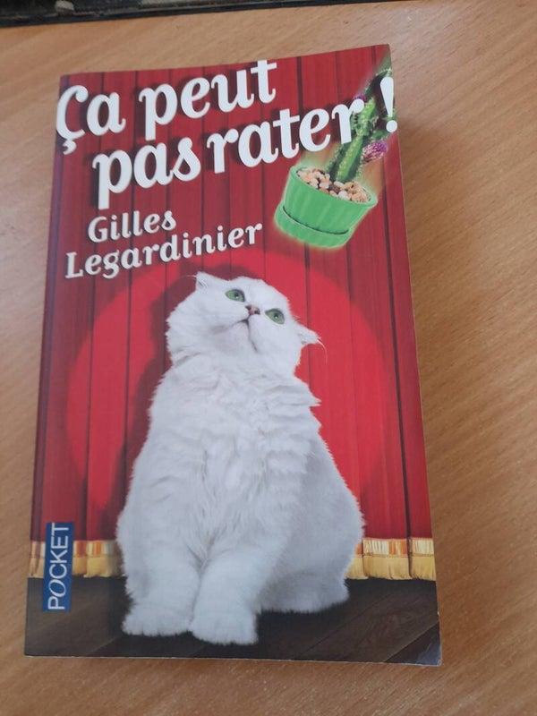 Ca peut pas rater ! -Gilles Legardinier - Pochet - 2016