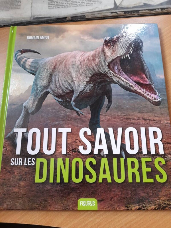 Tout savoir sur les dinosaures - Romain Amiot - Fleurus - 2020
