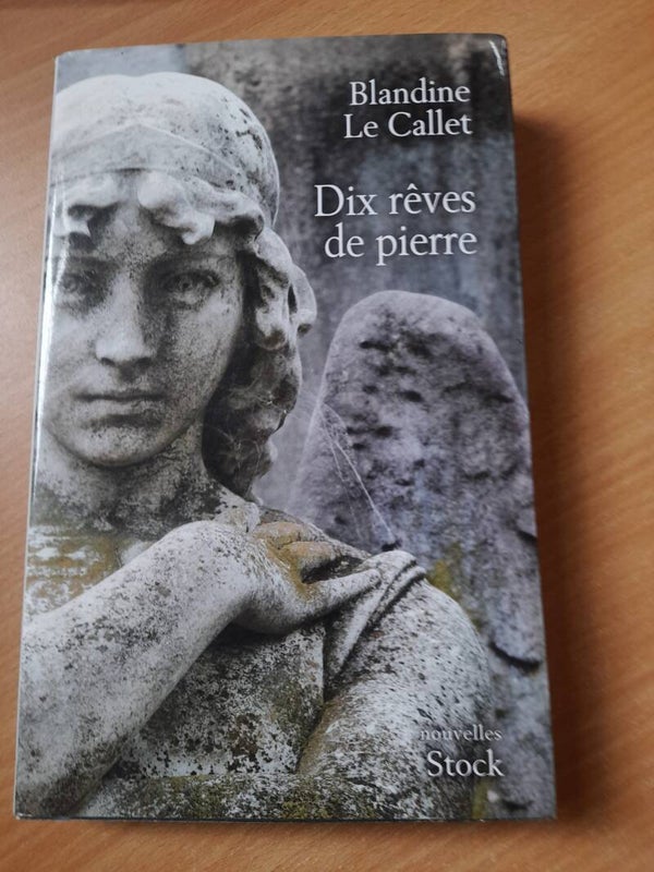 Dix rêves de pierre - Blandine Le Callet - Stock - 2013